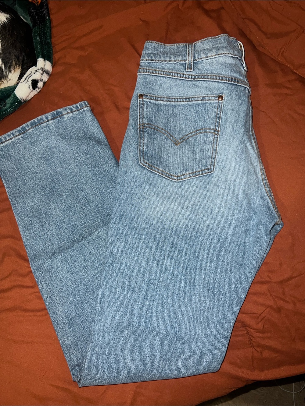 Levi’s Light Wash Straight Leg Jeans